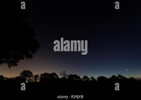 Venus dominates the early dawn as she rises just above the horizon with the star Spica just above from the constellation virgo an oak tree and distant Stock Photo