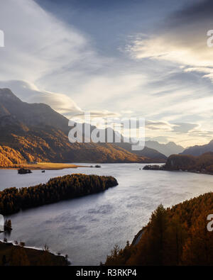 Aerial view on autumn lake Sils (Silsersee) in Swiss Alps. Colorful forest with orange larch and snowy mountains on background. Switzerland Stock Photo