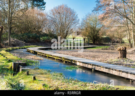 Scenic view over a wooden path through the Brussels wetlands, covered with snow Stock Photo