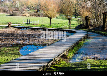 Scenic view over a wooden path through the Brussels wetlands, covered with snow Stock Photo