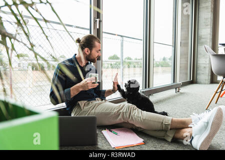 Young businessman with laptop sitting on the floor in office playing with dog Stock Photo