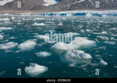 Norway, Svalbard, Spitsbergen. Nordvest-Spitsbergen National Park, Liefdefjorden, Monacobreen, aka Monaco Glacier. Stock Photo