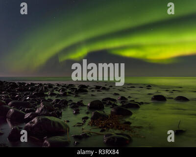 Northern Lights over Unstad Beach, island Vestvagoy. The Lofoten islands in northern Norway during winter. Scandinavia, Norway Stock Photo