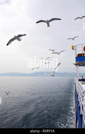 Sea gulls flying next to a ferry boat, travelling in the Aegean see in Greece, Europe Stock Photo