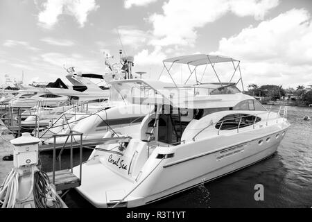 La Romana, Dominican republic-February 16, 2016: luxury yachts docked in the port in bay at sunny day with clouds on blue sky in La Romana, Dominican  Stock Photo