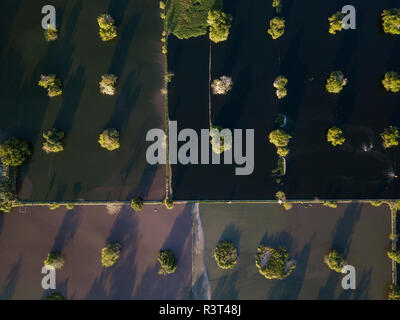 Indonesia, Bali, Aerial view of mangroves in water Stock Photo