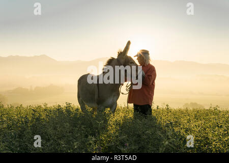 Italy, Tuscany, Borgo San Lorenzo, senior man standing with donkey in field at sunrise above rural landscape Stock Photo