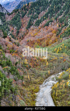 Magnificent autumn scenery of colorful foliage on rugged mountain cliffs from Kurobe Dam in Tateyama Kurobe Alpine Route, Toyama Japan Stock Photo