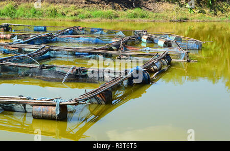 fish cage farming in the river / thai agriculture fish farming float on the surface freshwater inland fisheries Stock Photo