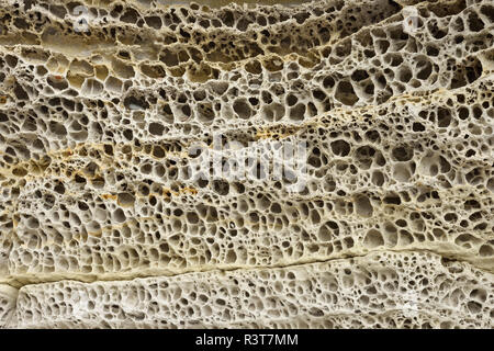 Patterns of honeycomb weathering, close-up, typical on calcareous  sandstones Stock Photo