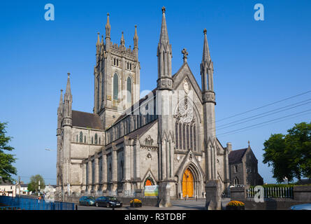 Ireland, County Kilkenny, Kilkenny City, St. Mary's Cathedral, exterior Stock Photo