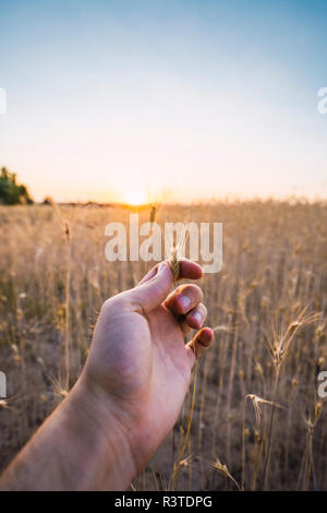 Man's hand holding ear, close-up Stock Photo