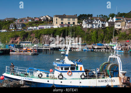 Ireland, County Waterford, Dunmore East, harbor view Stock Photo