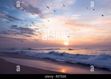 Sunset on the beach, beautiful seascape with ocean waves, flock of birds and colorful sky, California Coastline Stock Photo