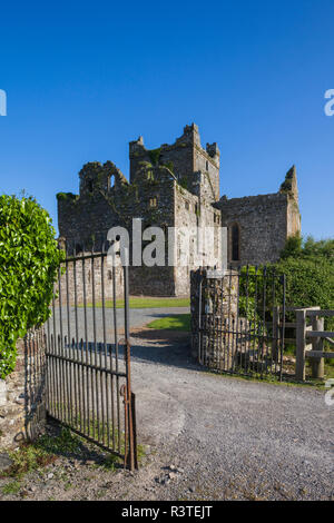 Ireland, County Wexford, Hook Peninsula, Campile, Dunbrody Abbey, 12th century Stock Photo