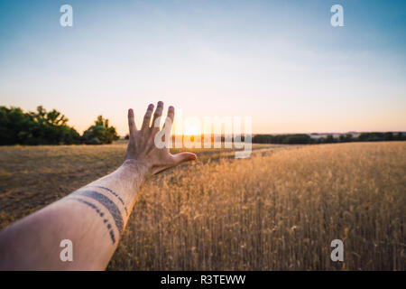 Man's hand reaching for evening sun Stock Photo