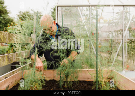 Senior man digging soil in allotment Stock Photo