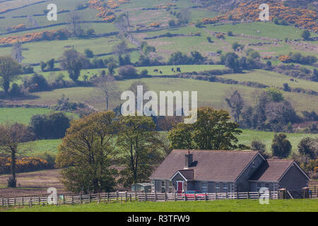 UK, Northern Ireland, County Down, Castlewellan, view of the Mourne Mountains, springtime Stock Photo