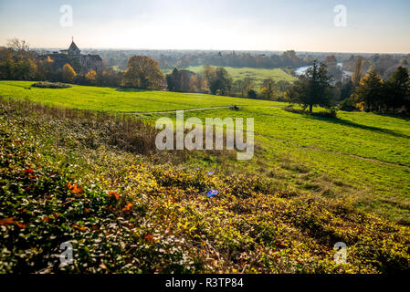 View from Richmond Hill with Thames in frame Stock Photo