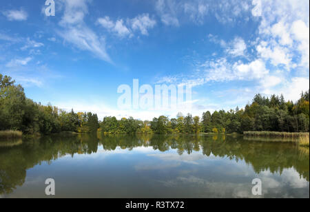 waldweiher Stock Photo