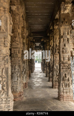 Sculpted Pillars, Varadhajara Perumal Temple, Kanchipuram, Tamil Nadu, India Stock Photo