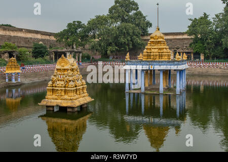 Anantha Theertham, Varadhajara Perumal Temple, Kanchipuram, Tamil Nadu, India Stock Photo