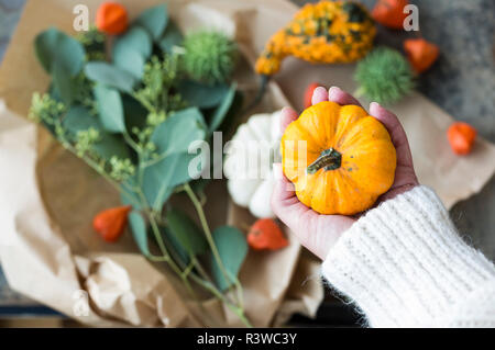 Autumnal decoration, woman's hand holding ornamental pumpkin Stock Photo