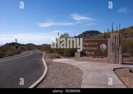 Usa, Arizona, Tucson, Saguaro National Park, west section. Stock Photo