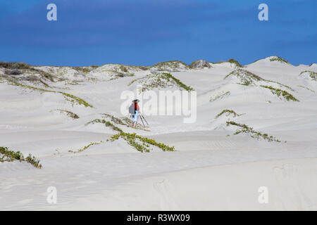 Sand dunes. Isla Magdalena. Baja California, Sea of Cortez, Mexico. Stock Photo