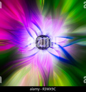 Colorful abstract twirl effect background with flower Stock Photo