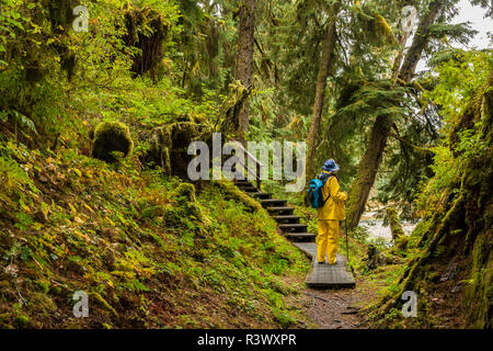 USA, Alaska, Tongass National Forest, Anan Creek. Tourist on trail to bear viewing area Stock Photo