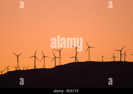 Wind turbines at the Tehachapi Wind Farm (2nd largest in the world) at sunset, Tehachapi Mountains, California, USA Stock Photo