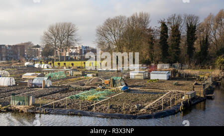 City gardening in Enkhuizen Netherlands Stock Photo