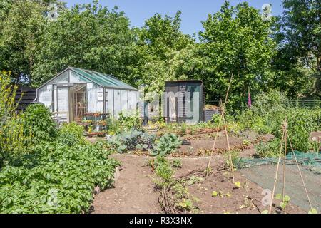 Citygarden with vegetables in plant beds and a greeenhouse Stock Photo