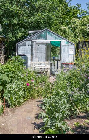 Cozy greenhouse in a citygarden with herbs and vegetables Stock Photo