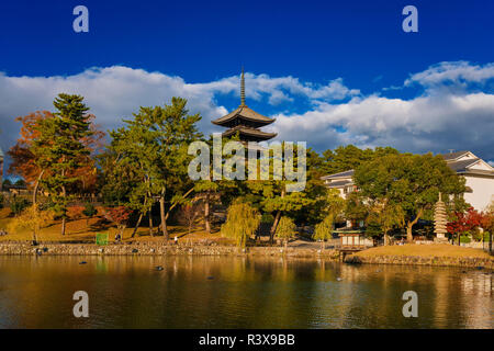View of the Kofuku Temple Five Storied Pagoda with Sarusawa Pond in the ancient city of Nara Stock Photo