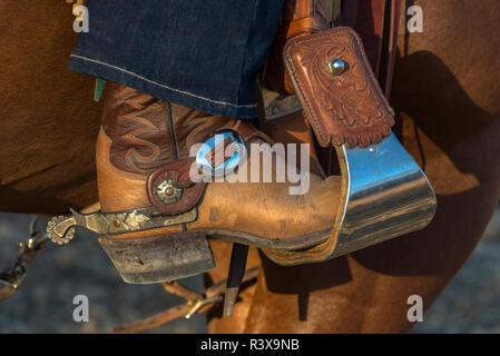 USA, California, Parkfield, V6 Ranch cowgirl boot in stirrup (MR) Stock Photo