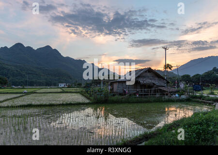 Mai Chau rice field, North Vietnam Stock Photo