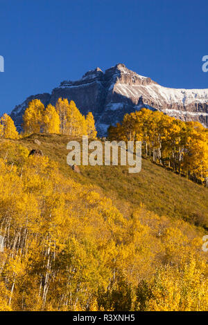 USA, Colorado, San Juan Mountains. Autumn-colored aspen trees Stock ...