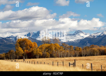 USA, Idaho. The Teton Mountains rise above farmland and trees near Driggs, Idaho. Stock Photo