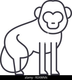 Baboon line icon concept. Baboon vector linear illustration, symbol, sign Stock Vector