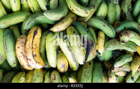 Ripe and unripe bananas on market stall in Spain. Stock Photo