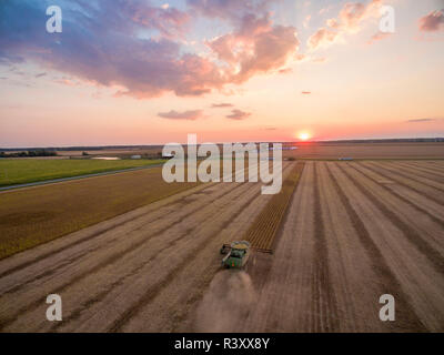 Soybean harvest, John Deere combine harvesting soybeans at sunset, Marion County, Illinois Stock Photo