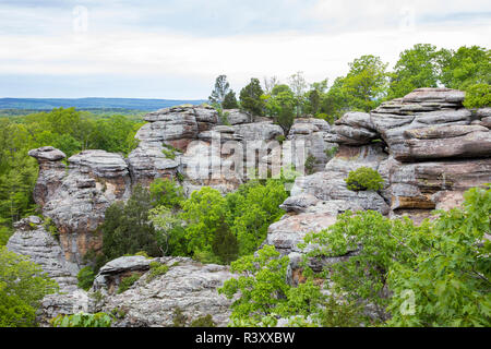 Camel Rock, Garden of the Gods Recreation Area, Shawnee National Forest, Saline County, Illinois Stock Photo