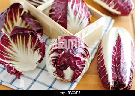 Radicchio Stock Photo