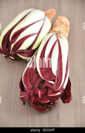 Radicchio Stock Photo