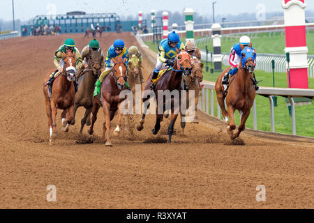 Thoroughbred horse racing at Keeneland