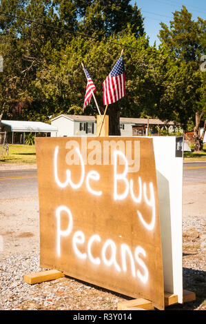USA, Louisiana. Atchafalaya Basin, sign for pecans in Grosse Tete Stock Photo