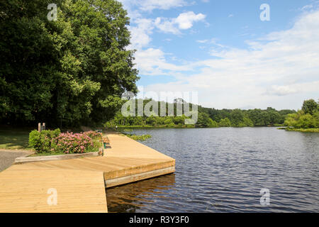 Turkey Swamp Park, Freehold, New Jersey, Usa Stock Photo