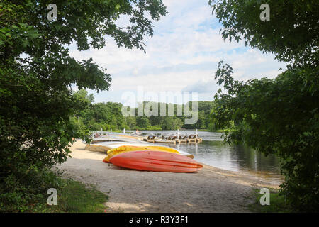 Turkey Swamp Park, Freehold, New Jersey, Usa Stock Photo